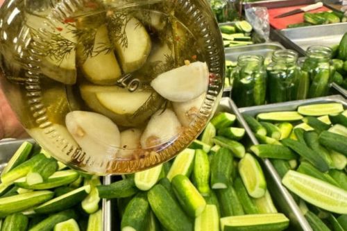 Freedom Pickles & the Secret of the Blue Garlic
